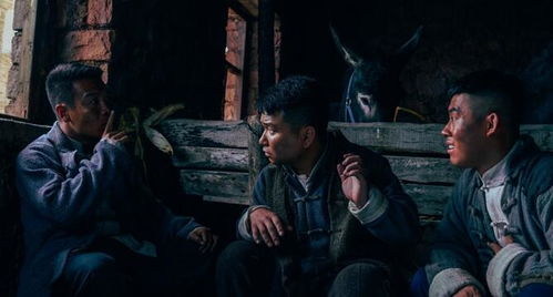 二龙湖浩哥之乱世豪情（二龙湖浩哥之乱世豪情演员表）