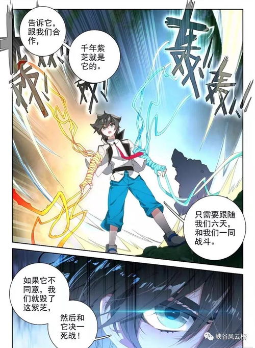 斗罗大陆免费观看完整版高清在线(斗罗大陆动漫版在线观看) 斗罗大陆免费观看完整版高清在线(斗罗大陆动漫版在线观看)