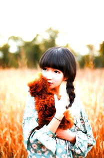 无人在线观看高清完整视频（无人在线观看高清完整视频电视剧）