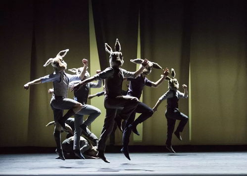 躁动的荷尔蒙3（蓬勃的荷尔蒙4）