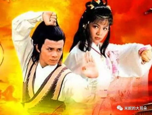 新射雕英雄传之铁血丹心（新射雕英雄传之铁血丹心01）