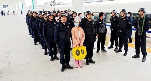 中国不公开的刑事大案（中国十大不公布案件）