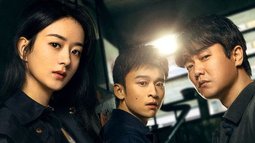 豆瓣免费追剧影视大全（豆瓣追剧影视大全在线看）