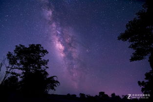 天美麻花星空高清免费观看完整版（天美麻花星空乡村版免费观看电视）