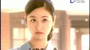 九河入海电视剧免费观看（电视剧九河入海全部演员表人物介绍）