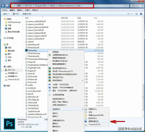 包含十七岁完整版在线观看免费的词条