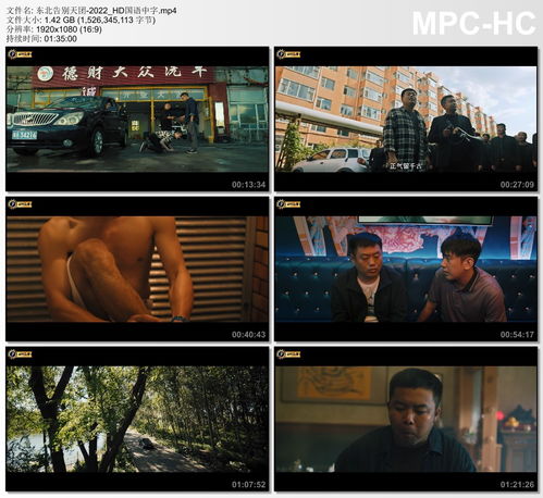 迅雷在线（迅雷在线观看电影免费中文版）