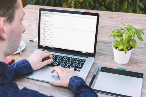 potato（potato翻译）