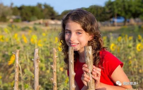 农场主的女儿们(农场主的女儿们美国经典K82农场主的女儿们) 农场主的女儿们(农场主的女儿们美国经典K82农场主的女儿们)