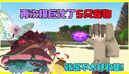 我的世界神奇宝贝（我的世界神奇宝贝怎么极巨化）