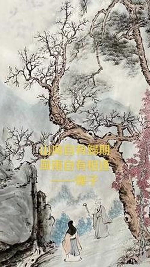 风雨自有相逢（风雨自有相逢讲的是什么）