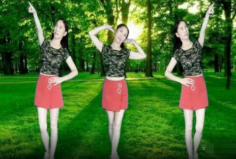 跳舞视频教学广场舞（跳舞视频教学广场舞30分钟）