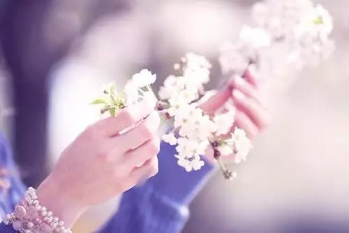 爱情的句子唯美短句（羡慕爱情的句子唯美短句）