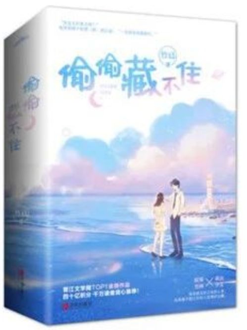 偷偷藏不住小说（偷偷藏不住小说番外）