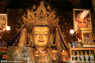 免费查自己三世因果（我的前世今生六道轮回 测试）