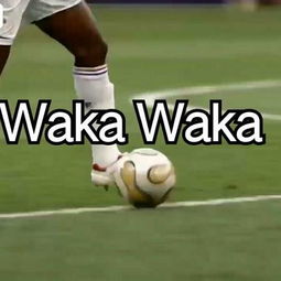 世界杯主题曲（世界杯主题曲wakawaka歌词）