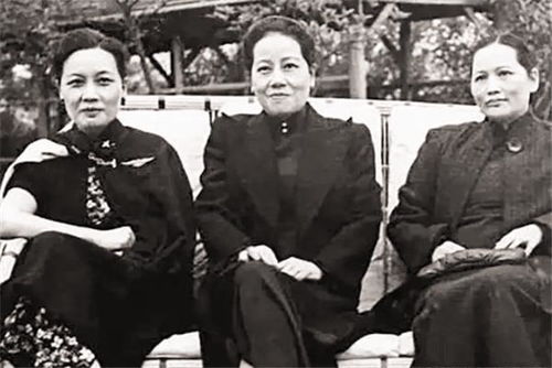 年轻的领居3在线观看（年轻的领袖）