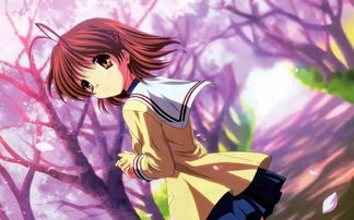 国家队无删减樱花动漫（国家队全集樱花动漫）