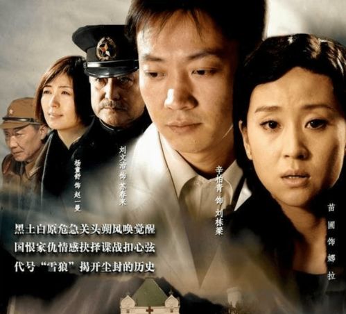 最好看免费视频（播放最好看又免费的电视剧）