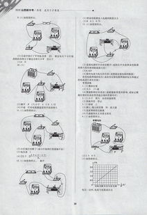 正确答案是什么生肖（独立木桥见风柚正确答案是什么生肖）
