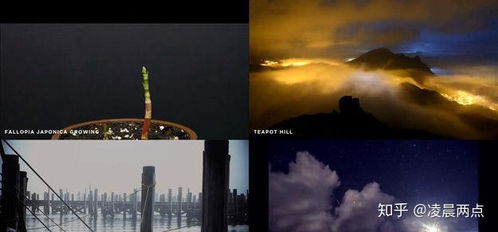 新片场视频素材（新片场视频素材官方）