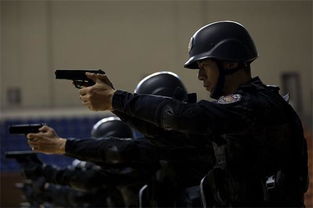 特警力量电视剧免费观看（特警力量电视剧免费观看完整版）