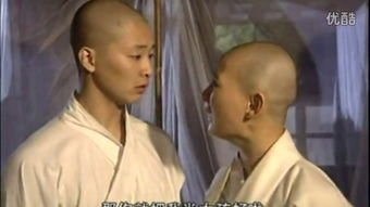 少林武王电影完整版免费观看（少林武王电影完整版免费观看国语）