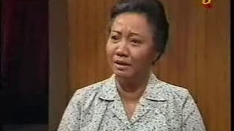 网中人电视剧粤语免费（网中人电视剧粤语免费观看字幕）