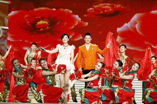 安徽卫视（安徽卫视春晚）