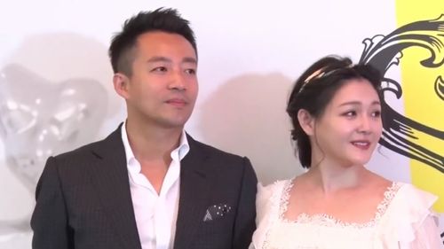 向太评价大s离婚（大s想离婚）