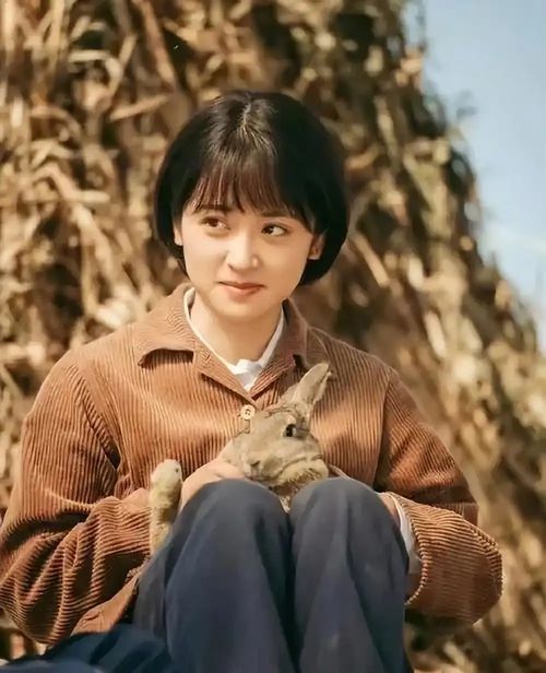 《六姊妹》电视剧（六姊妹电视剧哪年拍的）