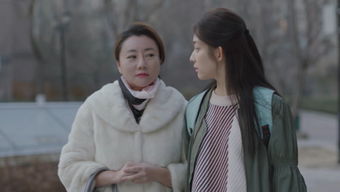 青柠影视电视剧大全（青柠影视电视剧大全大地）