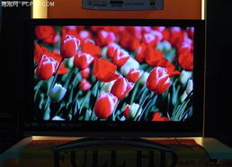 1080p高清电视（1080p高清电视免费版）
