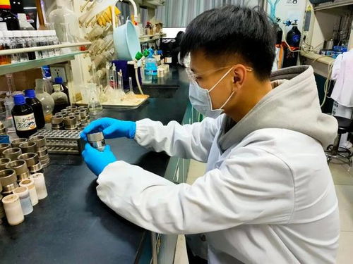 校霸被学霸压实验室试管（校霸被学霸教训）