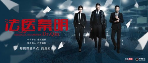 《法医秦明》全集免费（法医秦明在线20集免费搜狐）