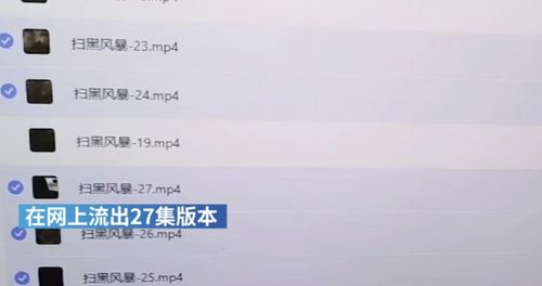 扫黑风暴去哪看全集（扫黑风暴哪儿看全集）