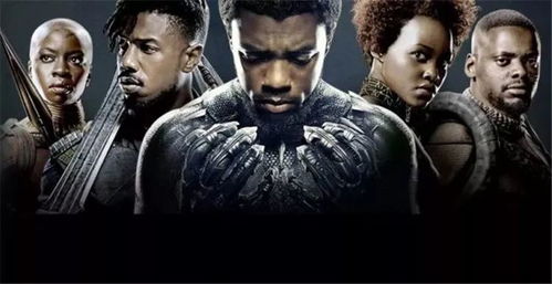 电影巜黑豹行动（电视剧黑豹行动）