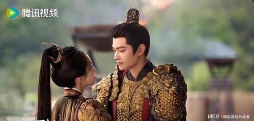 全部演员表介绍（江湖夜雨全部演员表介绍）