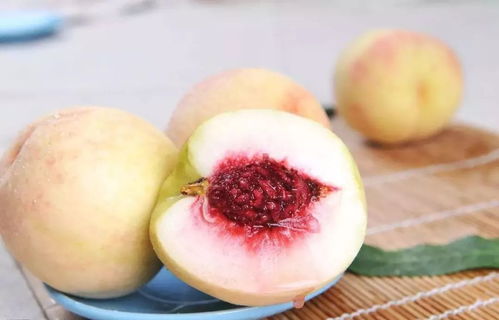 水蜜桃4小蜜桃4的简单介绍