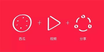 正版的西瓜视频（西瓜视频）