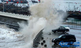 战争片电视剧大全免费（军事片电视剧排行榜前十名）