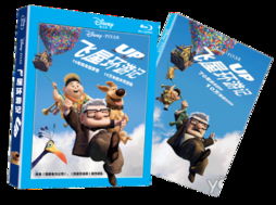 飞屋环游记（飞屋环游记英文）