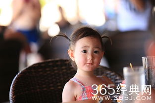 爸爸回来了（爸爸回来了第一季免费观看）