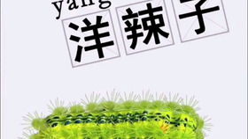 野花电影（野花电影哔哩哔哩）