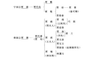 红楼梦人物关系图（红楼梦人物关系图简笔画）