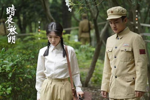 电视剧《暗夜与黎明》（电视剧暗夜与黎明在线观看免费）