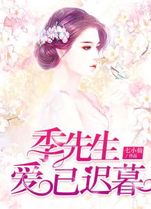 季先生（季先生和他的小先生小说免费阅读）