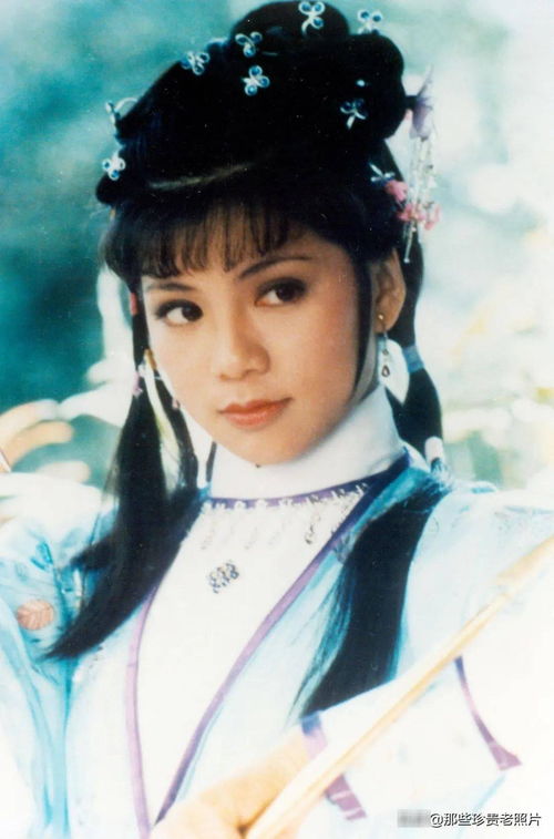 射雕英雄外传（射雕英雄外传之黄蓉在线阅读）