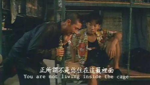 港片颜色程度十颗星2023（港片颜色程度十颗星何家驹）