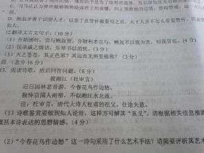 古诗（古诗字谜及答案）